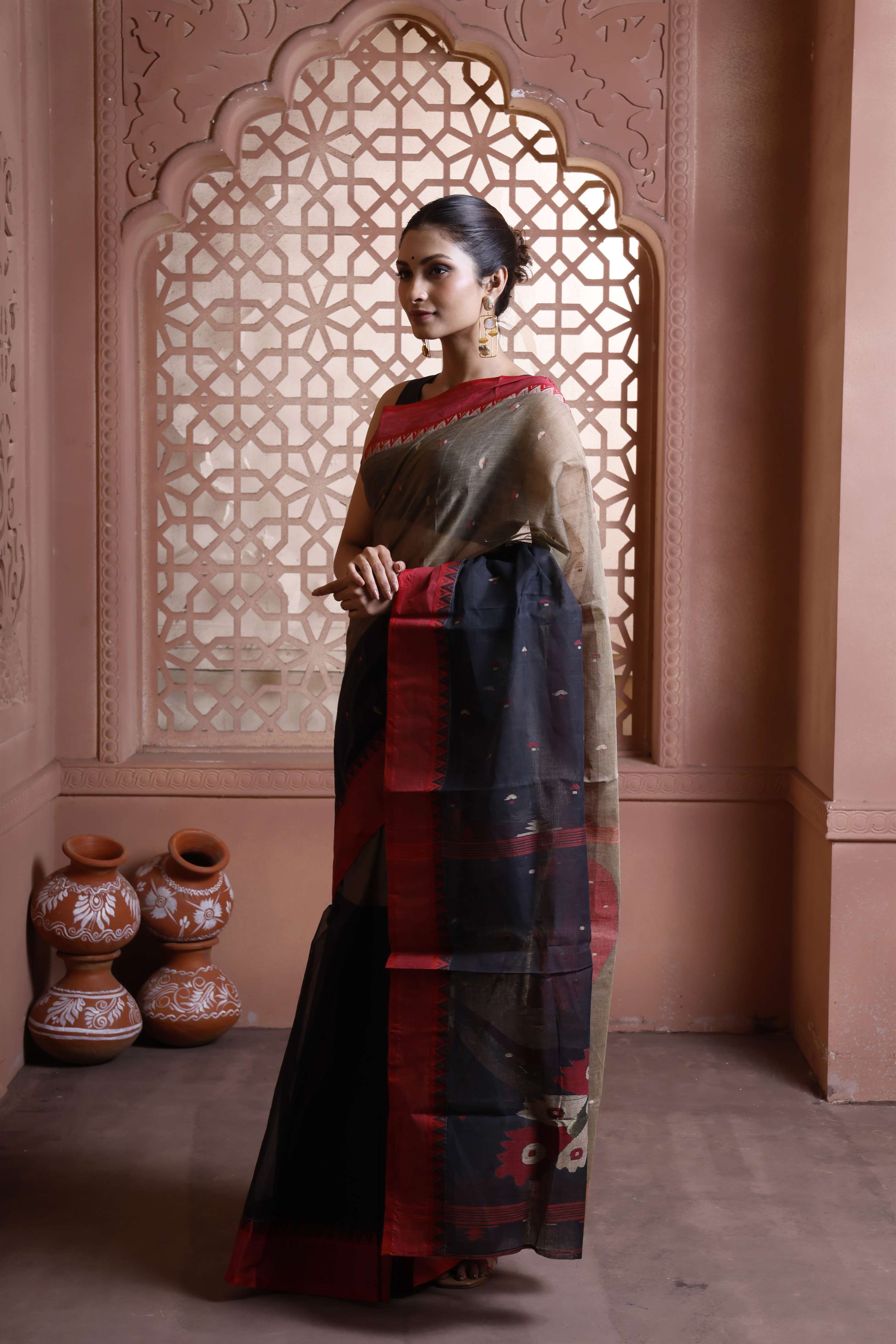 Half half cotton designer with beautiful pallu